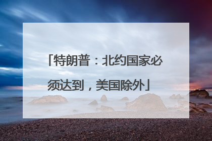 特朗普：北约国家必须达到，美国除外