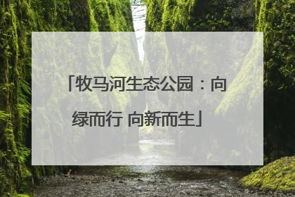 牧马河生态公园：向绿而行 向新而生