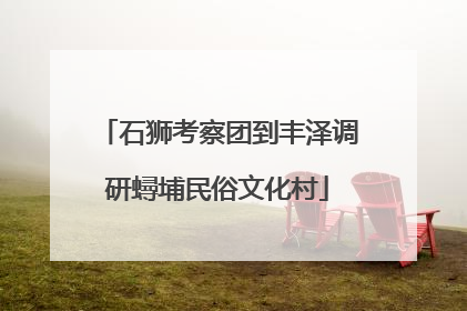 石狮考察团到丰泽调研蟳埔民俗文化村