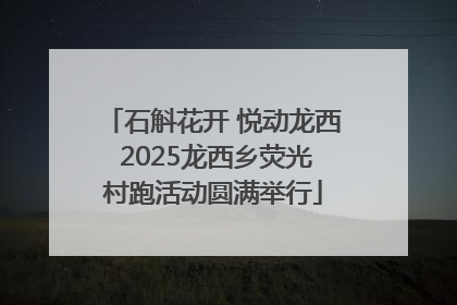 石斛花开 悦动龙西 2025龙西乡荧光村跑活动圆满举行
