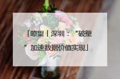 瞭望丨深圳：“破壁”加速数据价值实现