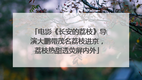 电影《长安的荔枝》导演大鹏带茂名荔枝进京，荔枝热甜透荧屏内外