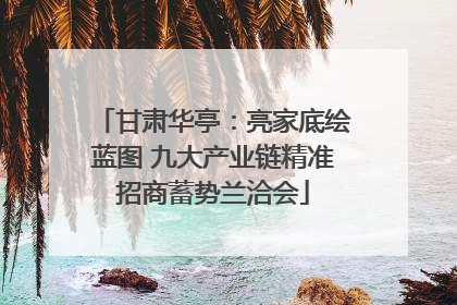 甘肃华亭：亮家底绘蓝图 九大产业链精准招商蓄势兰洽会