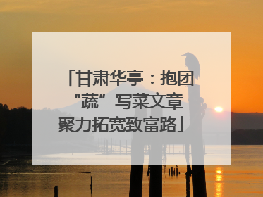 甘肃华亭：抱团“蔬”写菜文章 聚力拓宽致富路