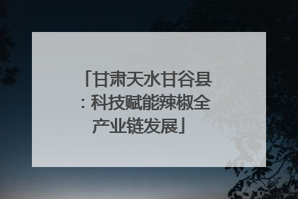 甘肃天水甘谷县：科技赋能辣椒全产业链发展
