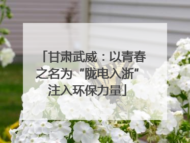 甘肃武威：以青春之名为“陇电入浙”注入环保力量