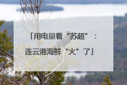 用电量看“苏超”：连云港海鲜“火”了