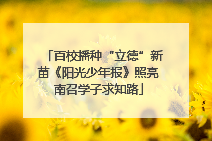 百校播种“立德”新苗《阳光少年报》照亮南召学子求知路