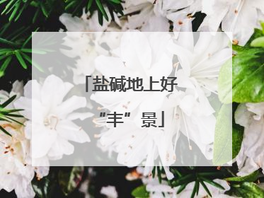 盐碱地上好“丰”景