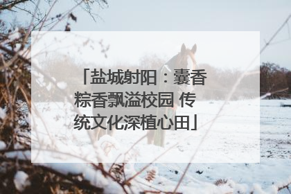 盐城射阳：囊香粽香飘溢校园 传统文化深植心田