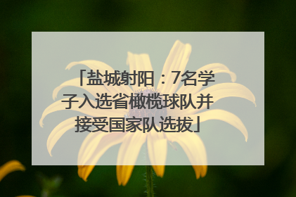 盐城射阳：7名学子入选省橄榄球队并接受国家队选拔