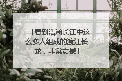 看到浩瀚长江中这么多人组成的渡江长龙，非常震撼