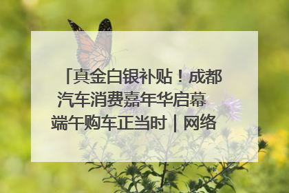 真金白银补贴！成都汽车消费嘉年华启幕 端午购车正当时｜网络中国节·端午