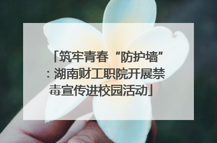 筑牢青春“防护墙”：湖南财工职院开展禁毒宣传进校园活动