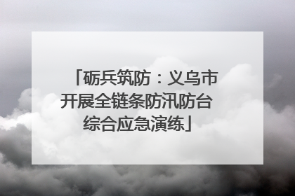 砺兵筑防：义乌市开展全链条防汛防台综合应急演练