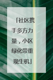 社区携手多方力量，小区绿化带重现生机