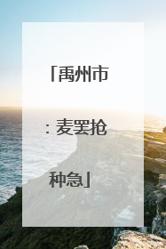 禹州市：麦罢抢种急