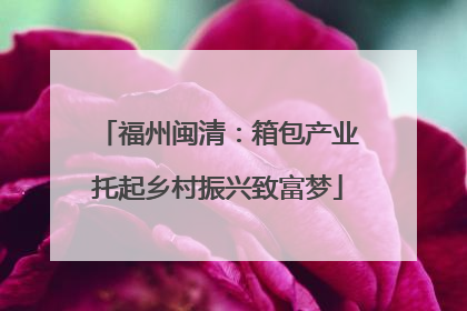 福州闽清：箱包产业托起乡村振兴致富梦