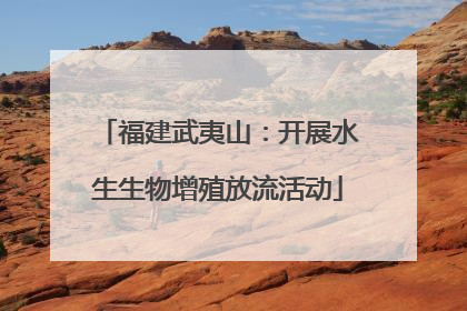 福建武夷山：开展水生生物增殖放流活动