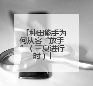 种田能手为何从容“放手”（三夏进行时）