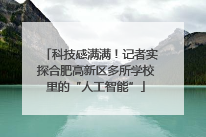 科技感满满！记者实探合肥高新区多所学校里的“人工智能”