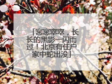 窸窸窣窣，长长的黑影一闪而过！北京有住户家中蛇出没