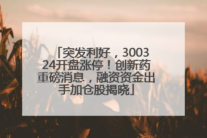 突发利好，300324开盘涨停！创新药重磅消息，融资资金出手加仓股揭晓