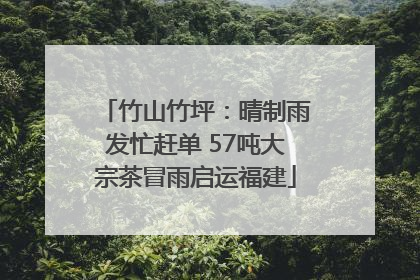竹山竹坪：晴制雨发忙赶单 57吨大宗茶冒雨启运福建