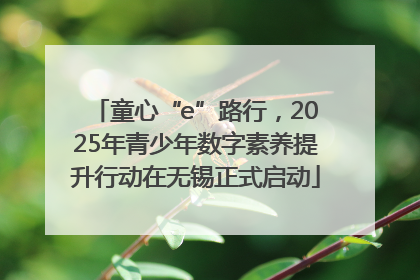 童心“e”路行，2025年青少年数字素养提升行动在无锡正式启动