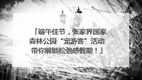 端午佳节，张家界国家森林公园“宠游客”活动带你解锁松弛感假期！