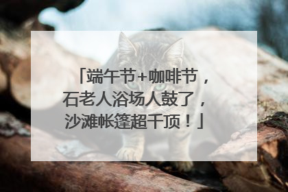 端午节+咖啡节，石老人浴场人鼓了，沙滩帐篷超千顶！