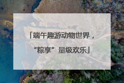 端午趣游动物世界，“粽享”量级欢乐