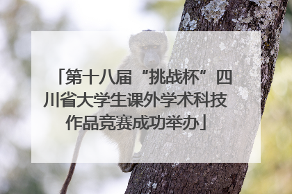 第十八届“挑战杯”四川省大学生课外学术科技作品竞赛成功举办