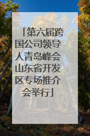第六届跨国公司领导人青岛峰会山东省开发区专场推介会举行