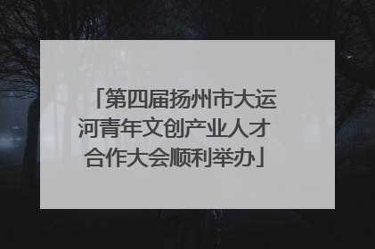 第四届扬州市大运河青年文创产业人才合作大会顺利举办