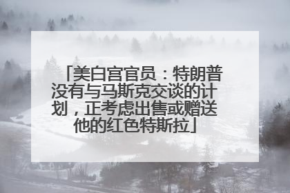 美白宫官员：特朗普没有与马斯克交谈的计划，正考虑出售或赠送他的红色特斯拉