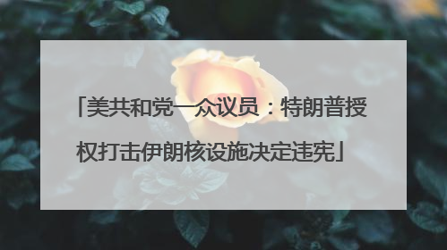 美共和党一众议员：特朗普授权打击伊朗核设施决定违宪