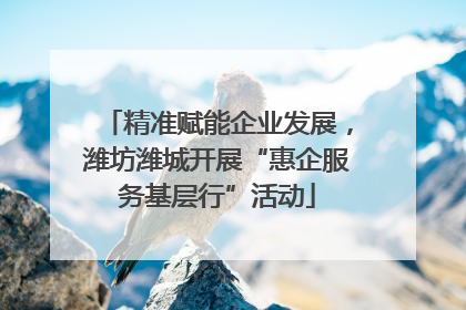 精准赋能企业发展，潍坊潍城开展“惠企服务基层行”活动