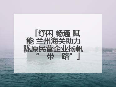 纾困 畅通 赋能 兰州海关助力陇原民营企业扬帆“一带一路”