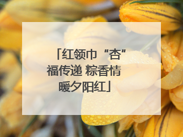 红领巾“杏”福传递 粽香情暖夕阳红