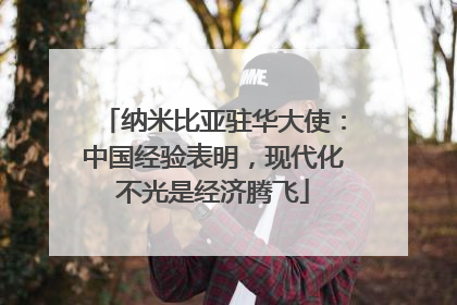 纳米比亚驻华大使：中国经验表明，现代化不光是经济腾飞