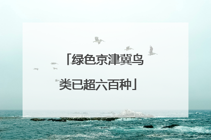 绿色京津冀鸟类已超六百种