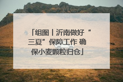 组图丨沂南做好“三夏”保障工作 确保小麦颗粒归仓