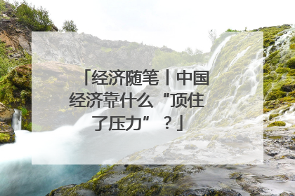 经济随笔丨中国经济靠什么“顶住了压力”？