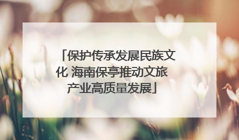 保护传承发展民族文化 海南保亭推动文旅产业高质量发展