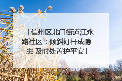 信州区北门街道江永路社区：倾斜灯杆成隐患 及时处置护平安