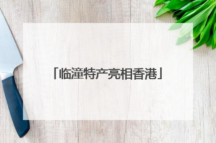 临潼特产亮相香港