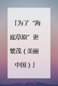 为了“海底草原”更繁茂（美丽中国）