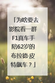 为啥要去影院看一群F1真车手陪62岁的布拉德·皮特飙车？