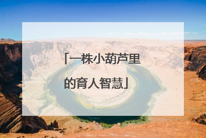 一株小葫芦里的育人智慧
